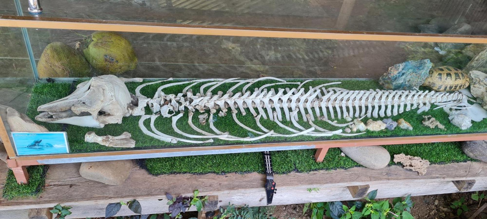 Savet Guesthouse Stoeng Treng Exteriör bild